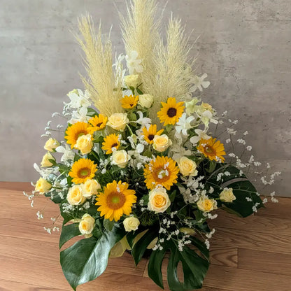 Arrangement - Premium