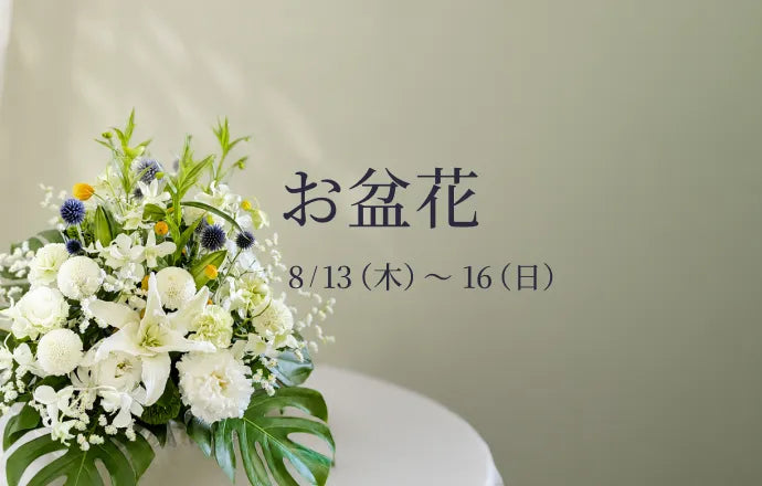 季節のおすすめ商品